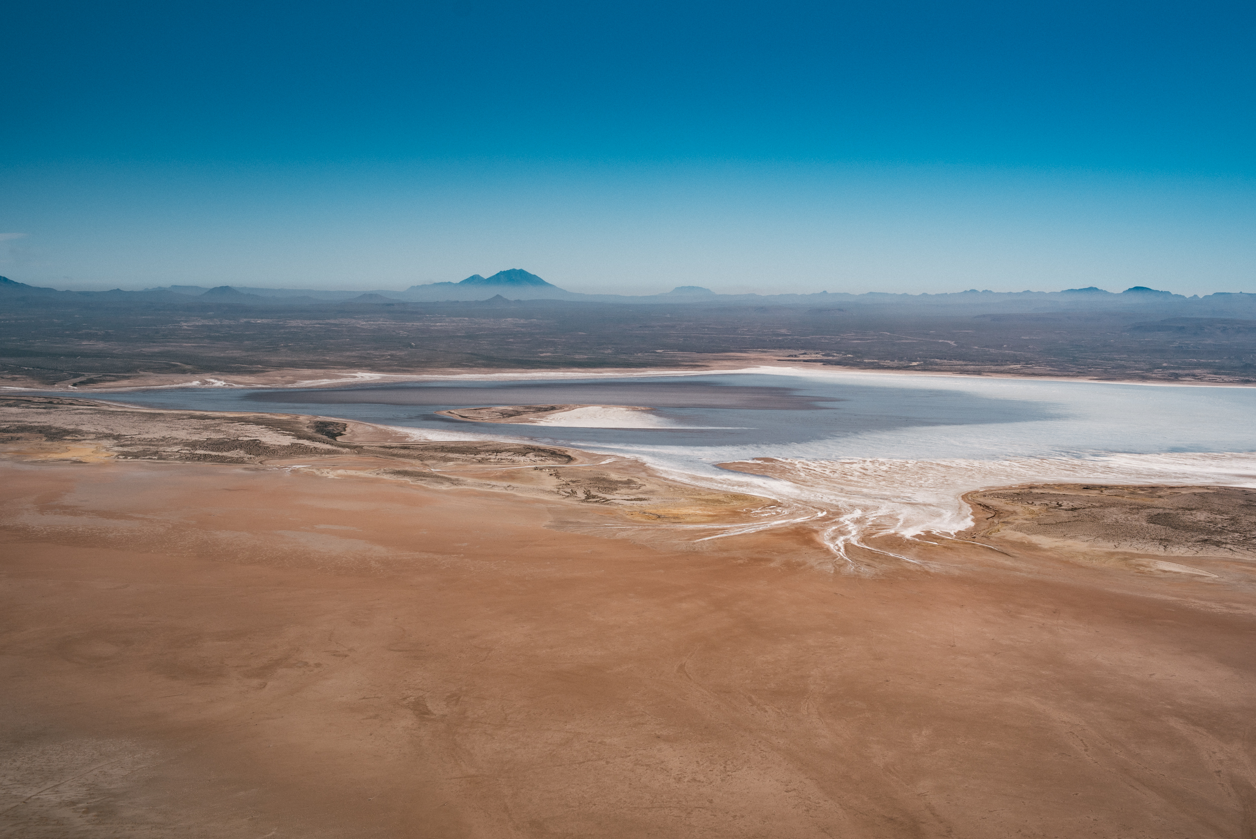 San Ignacio Grey Whales-2388.jpg