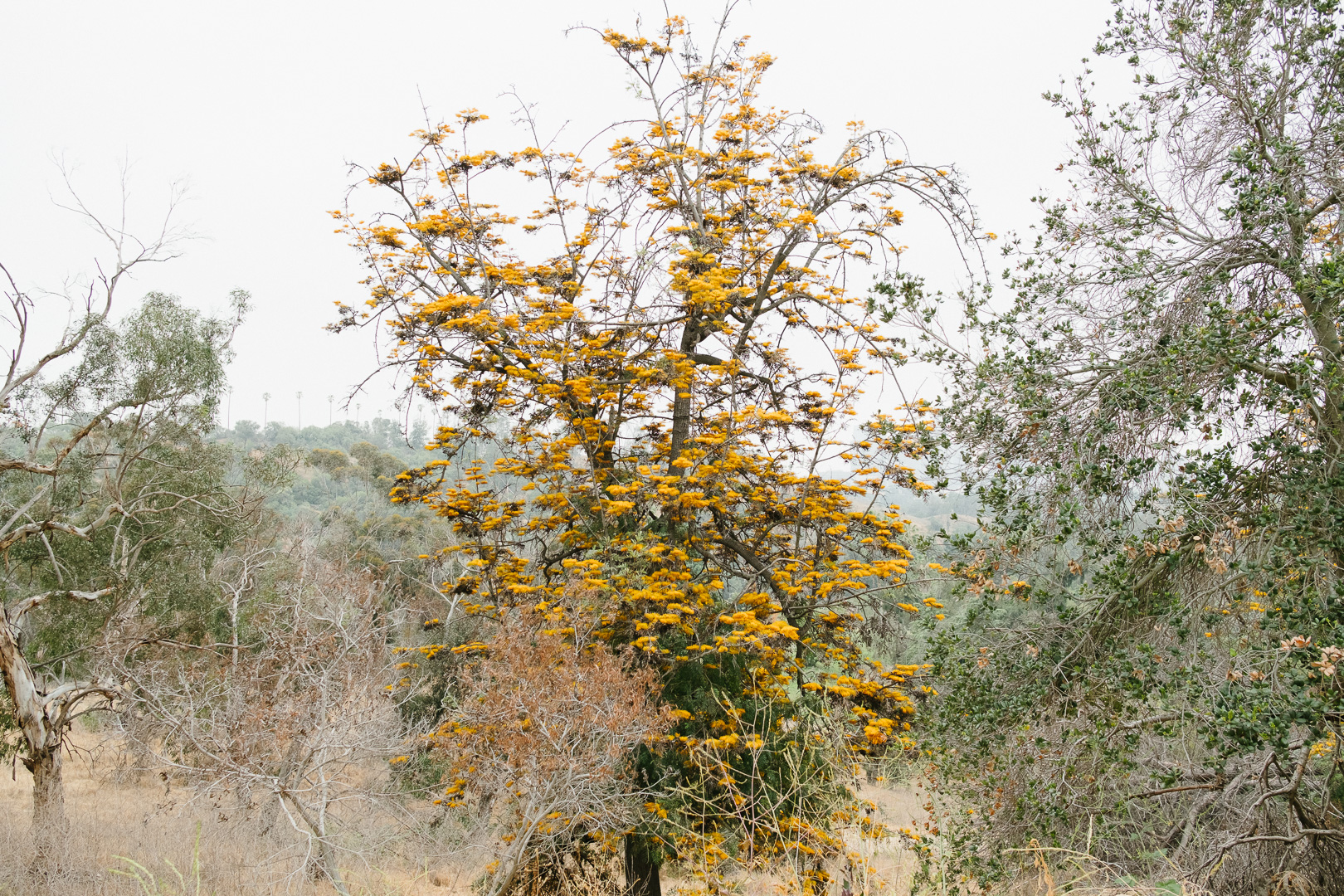 sunday funday16May.jpg