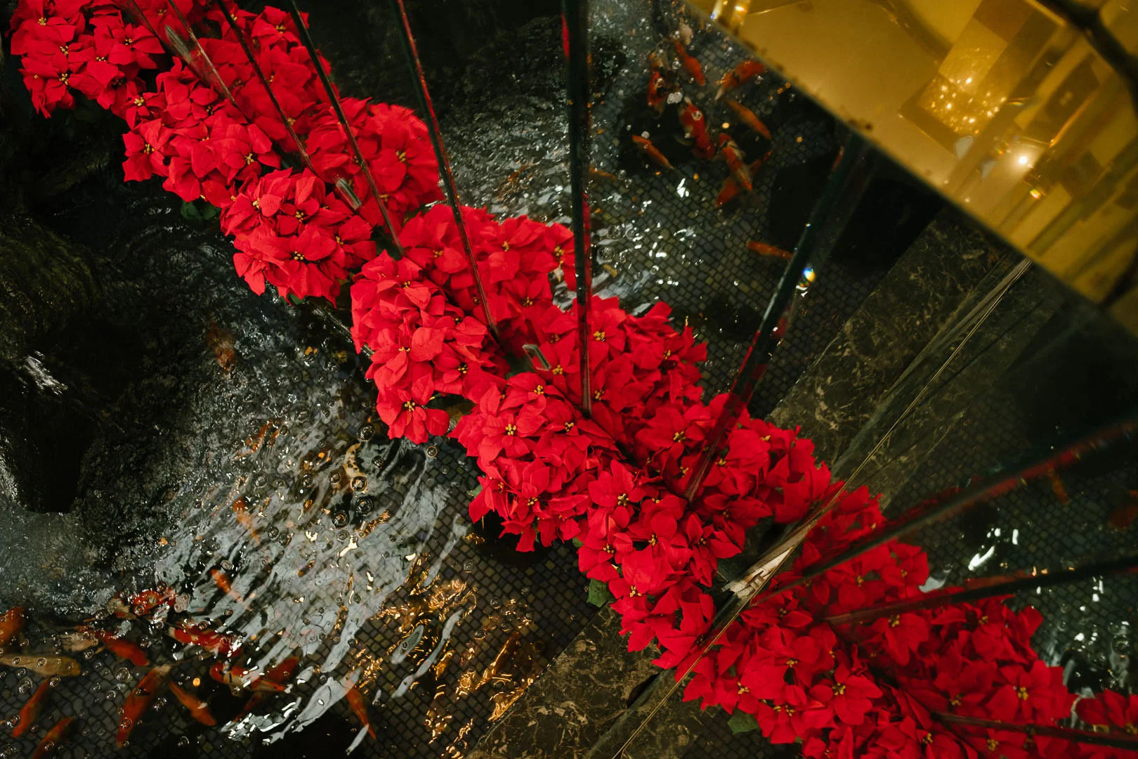 sunday funday25May.jpg