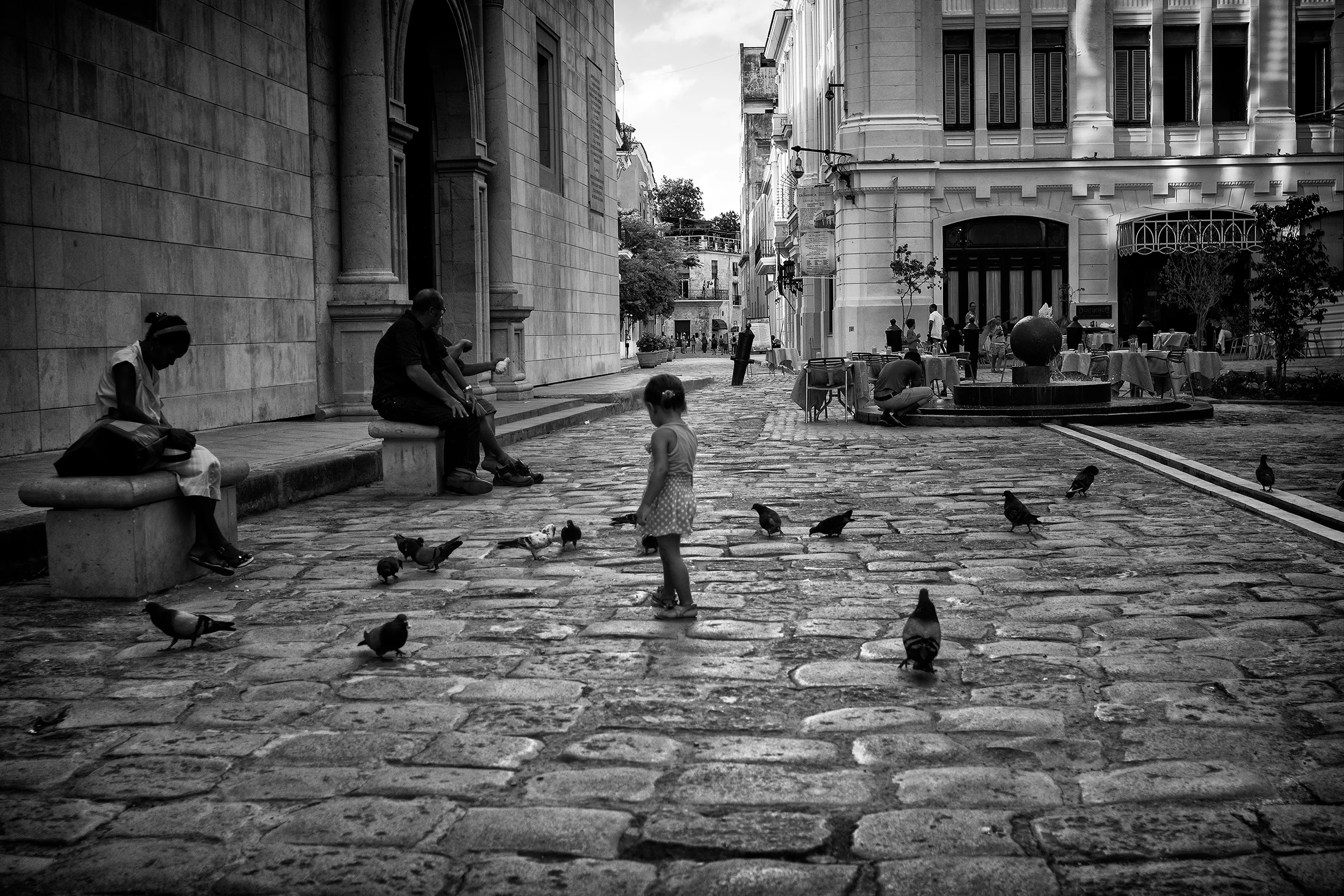 Little Girl Chasing Pigeons