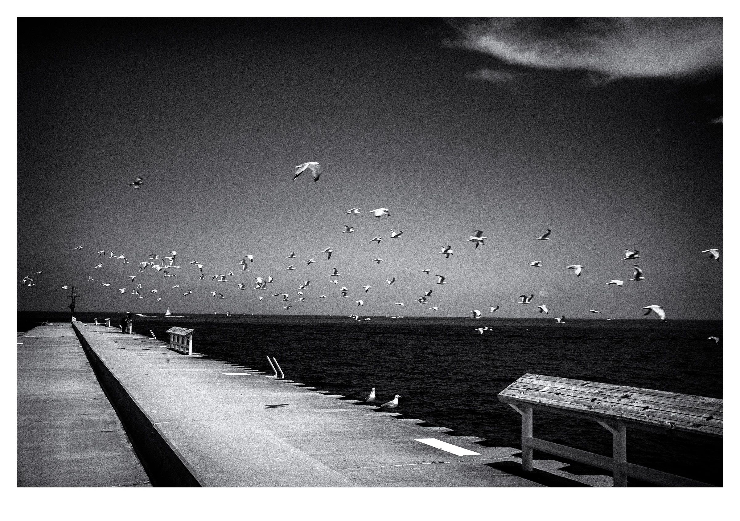 Flight Noir