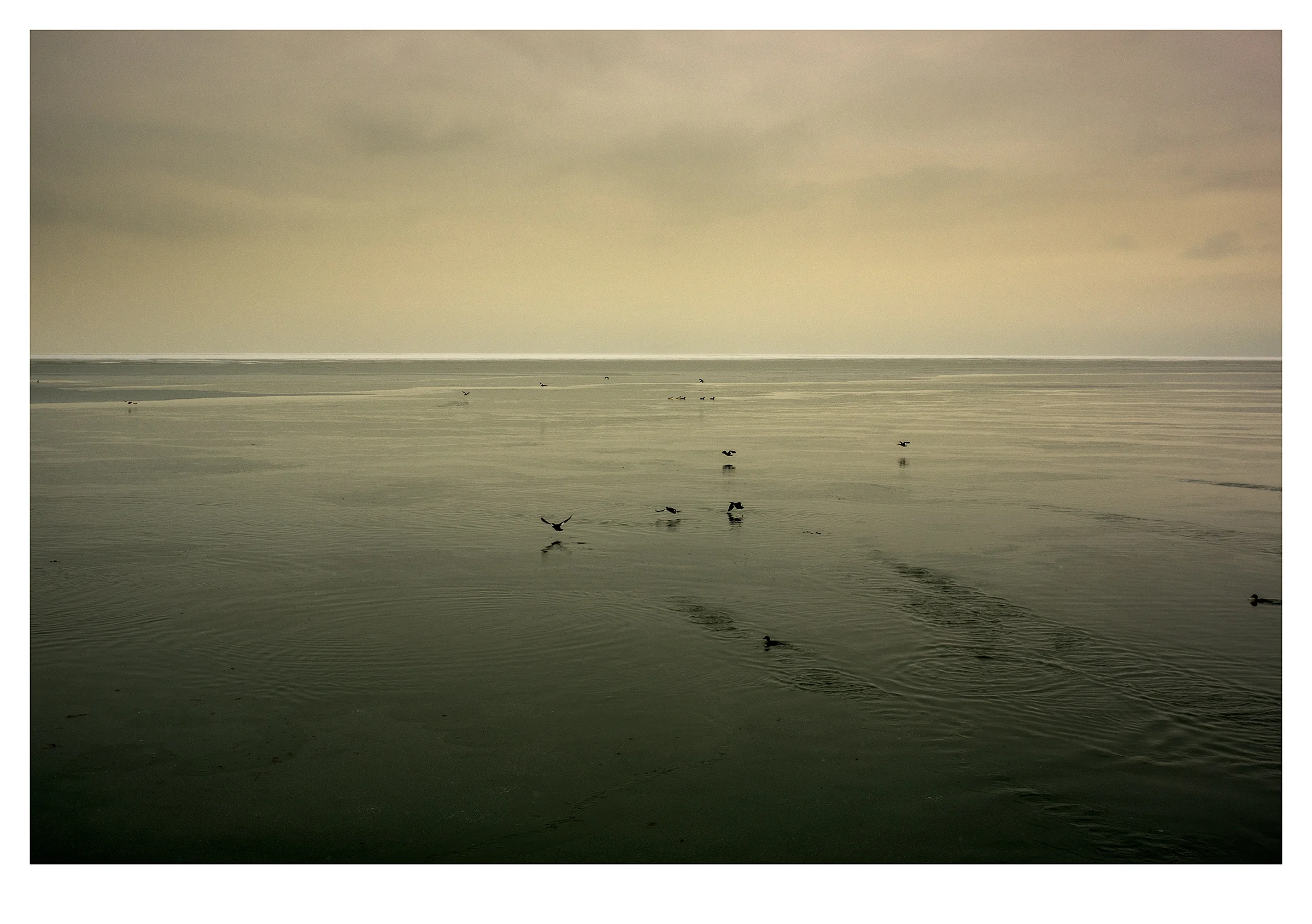 Sage Horizon