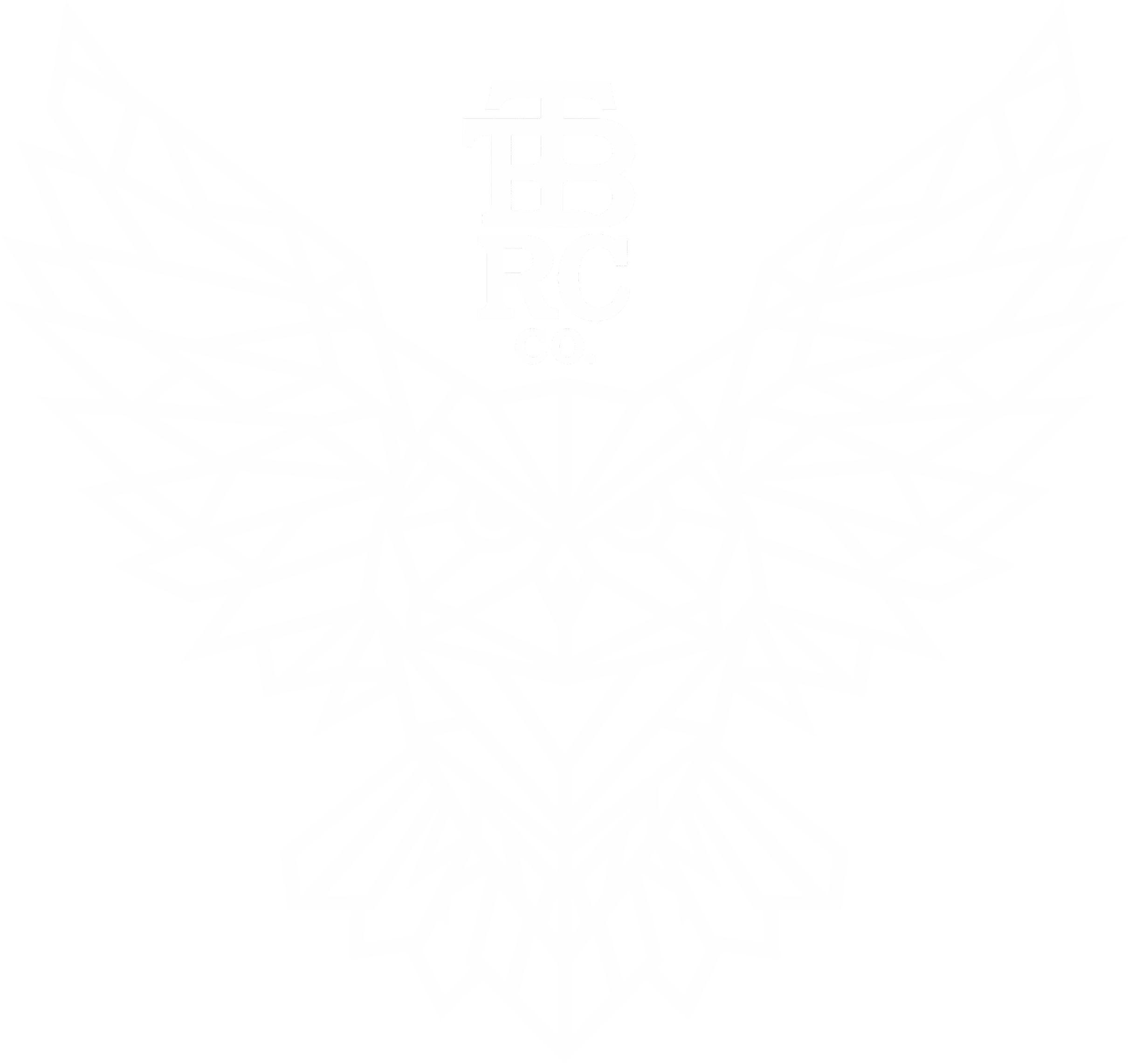 THE BLACK ROCK COMPANY