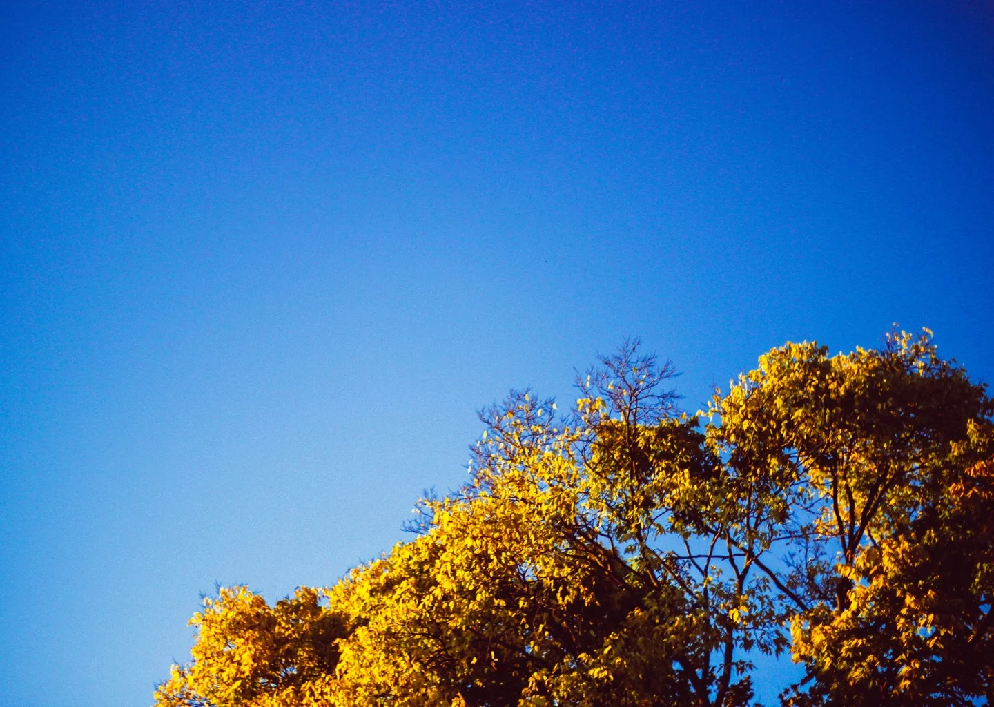 What size is meaning? — Corporate Health, Workplace Wellness
