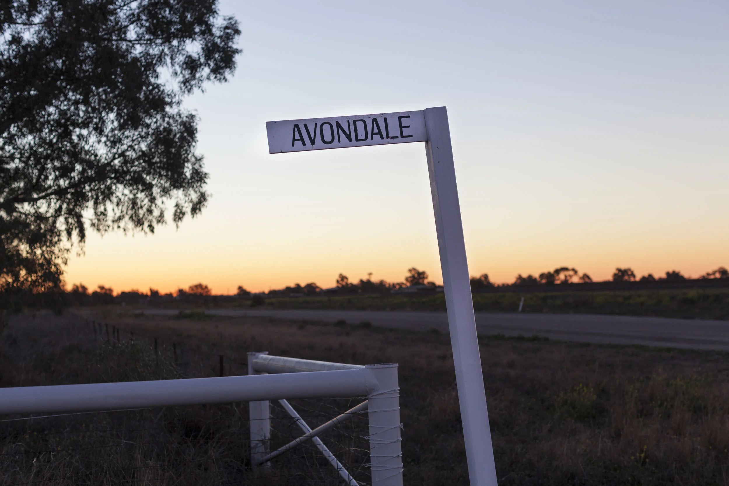 Avondale.jpg