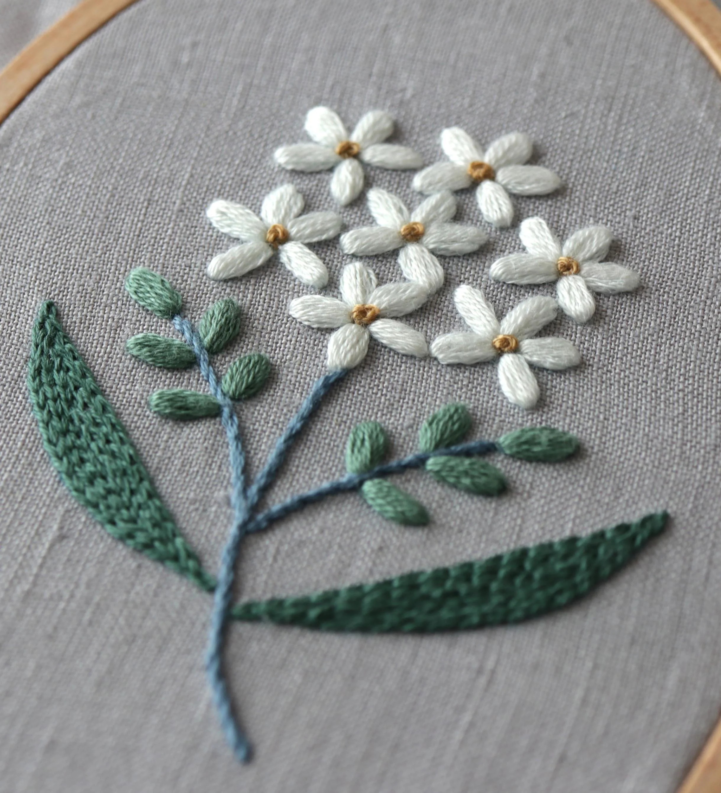 レゼーデージーst.