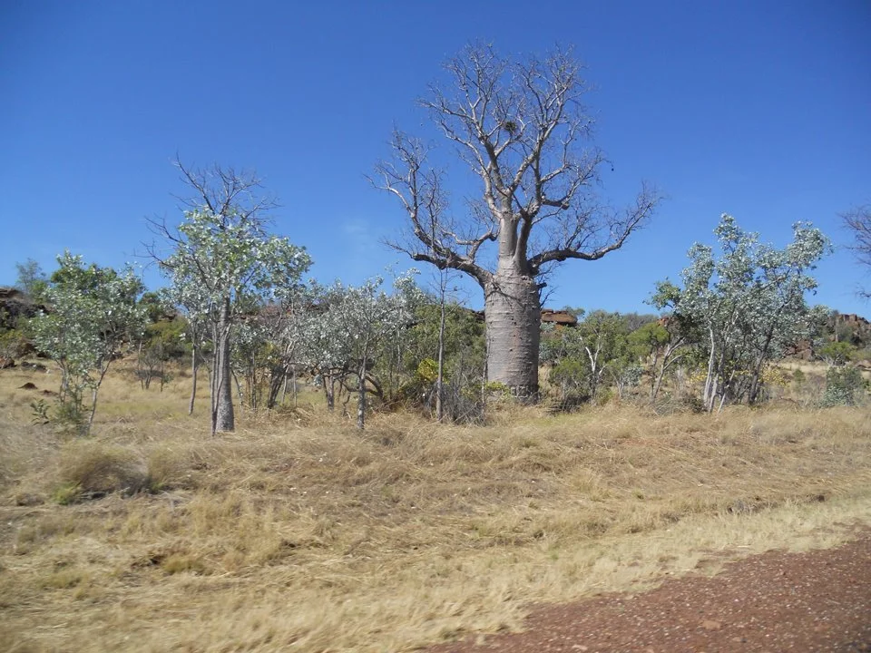 Western Australia