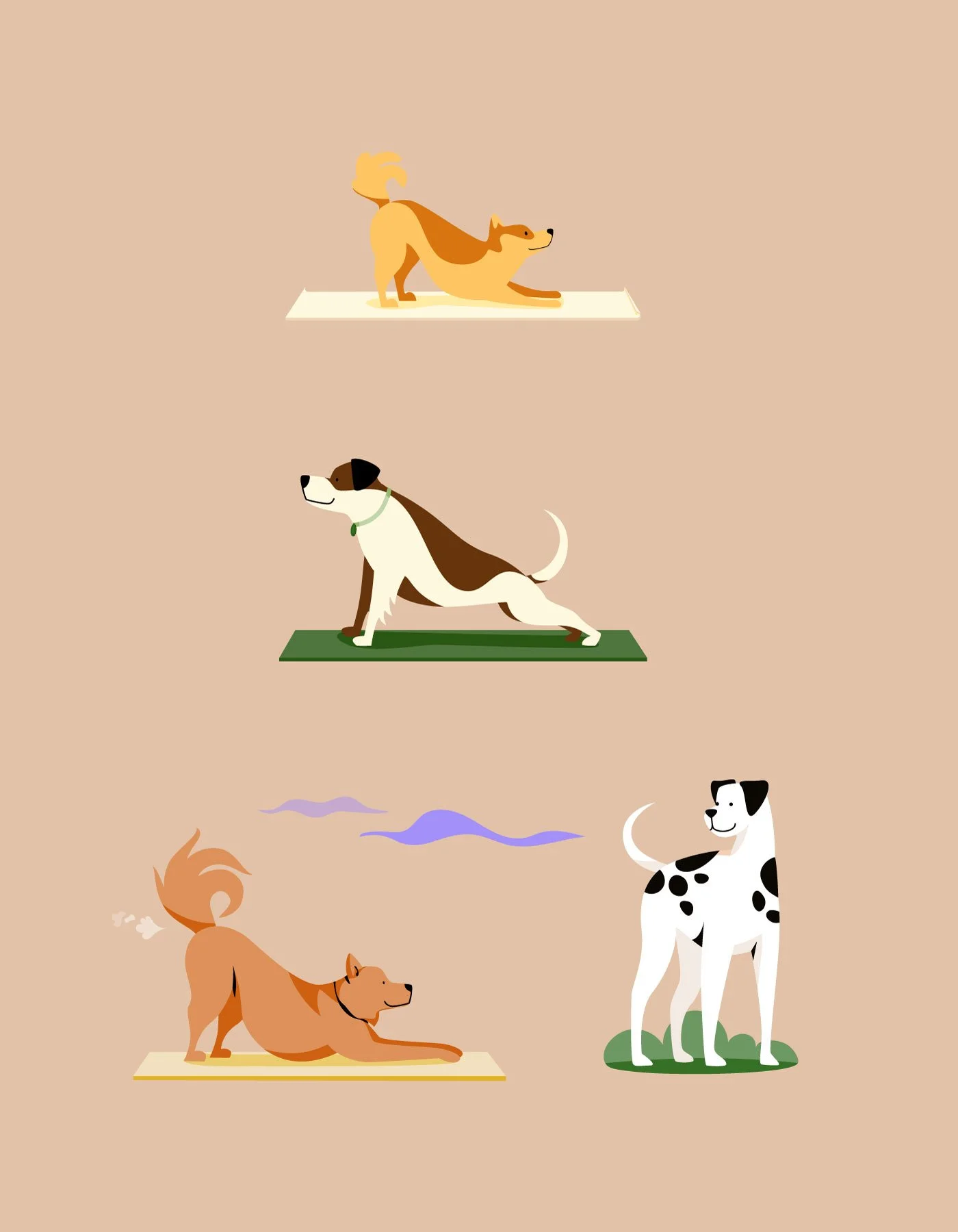 Dog-fetch-1.jpg