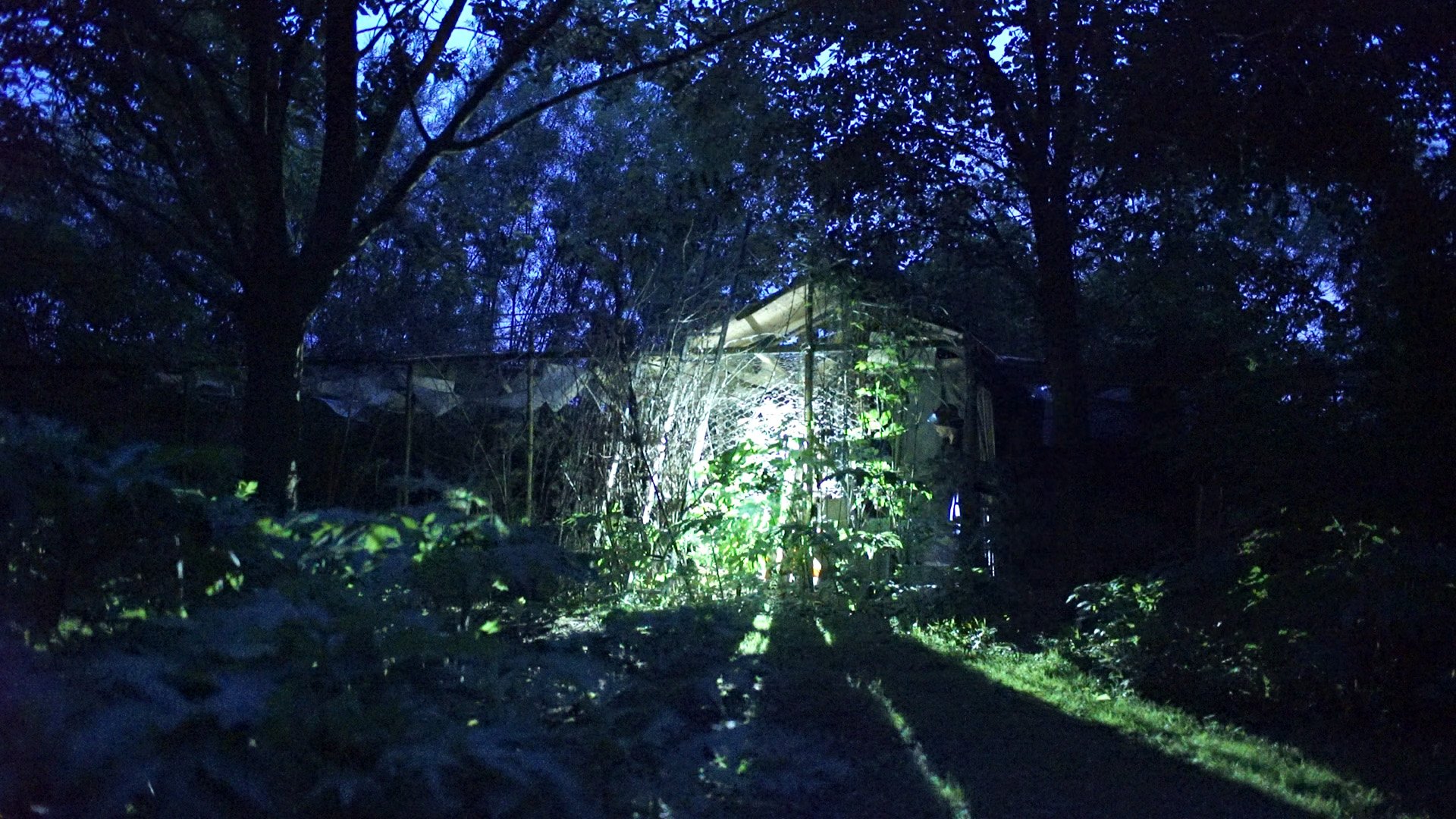 Still from video installation Emmy's World (2009-2024)
