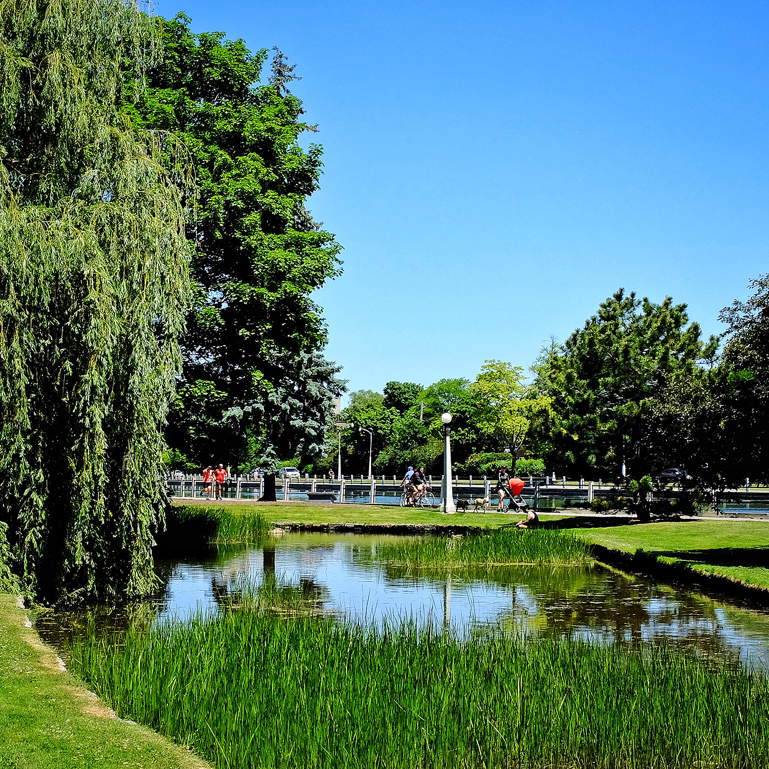 loveOttawa_Greenspace_web.jpg