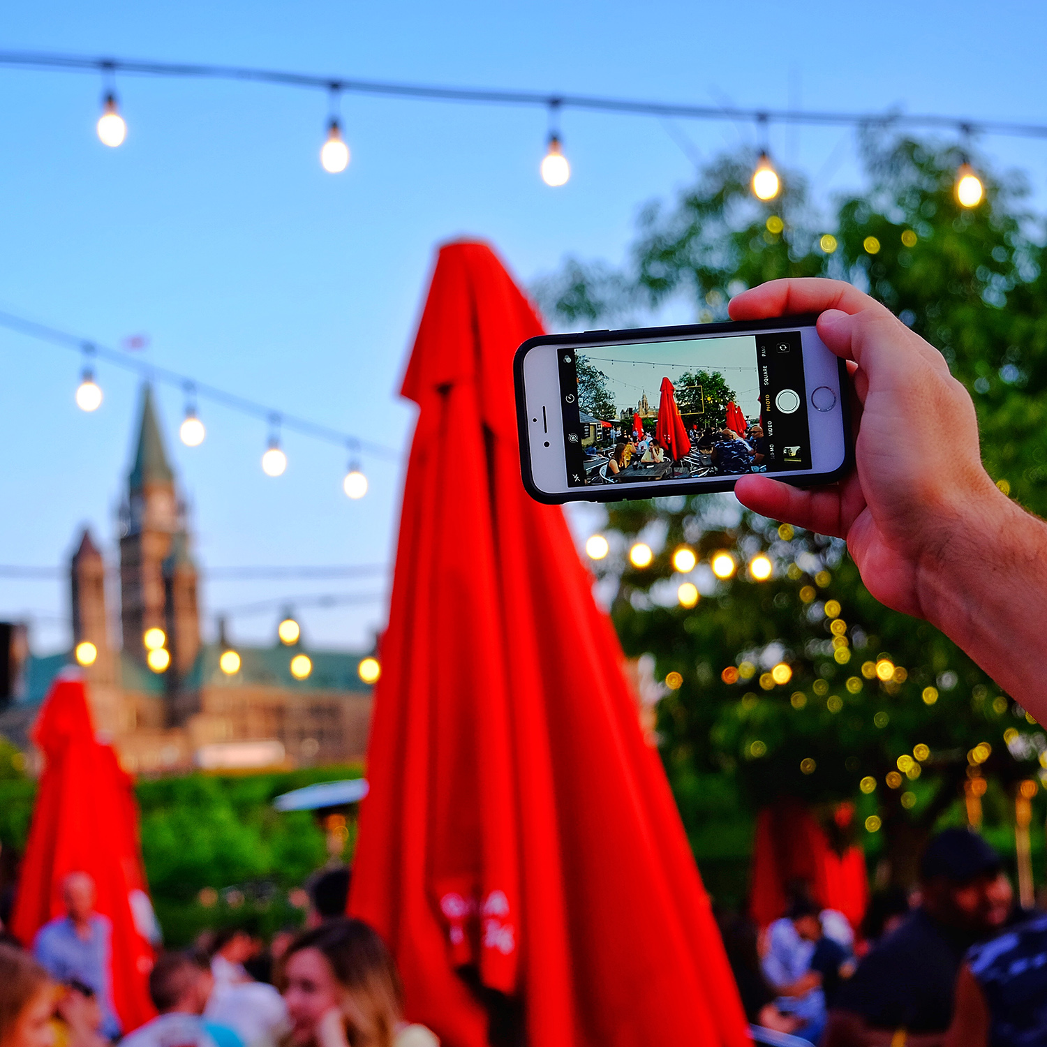 loveOttawa_TavernSunsetIPhoneweb.jpg