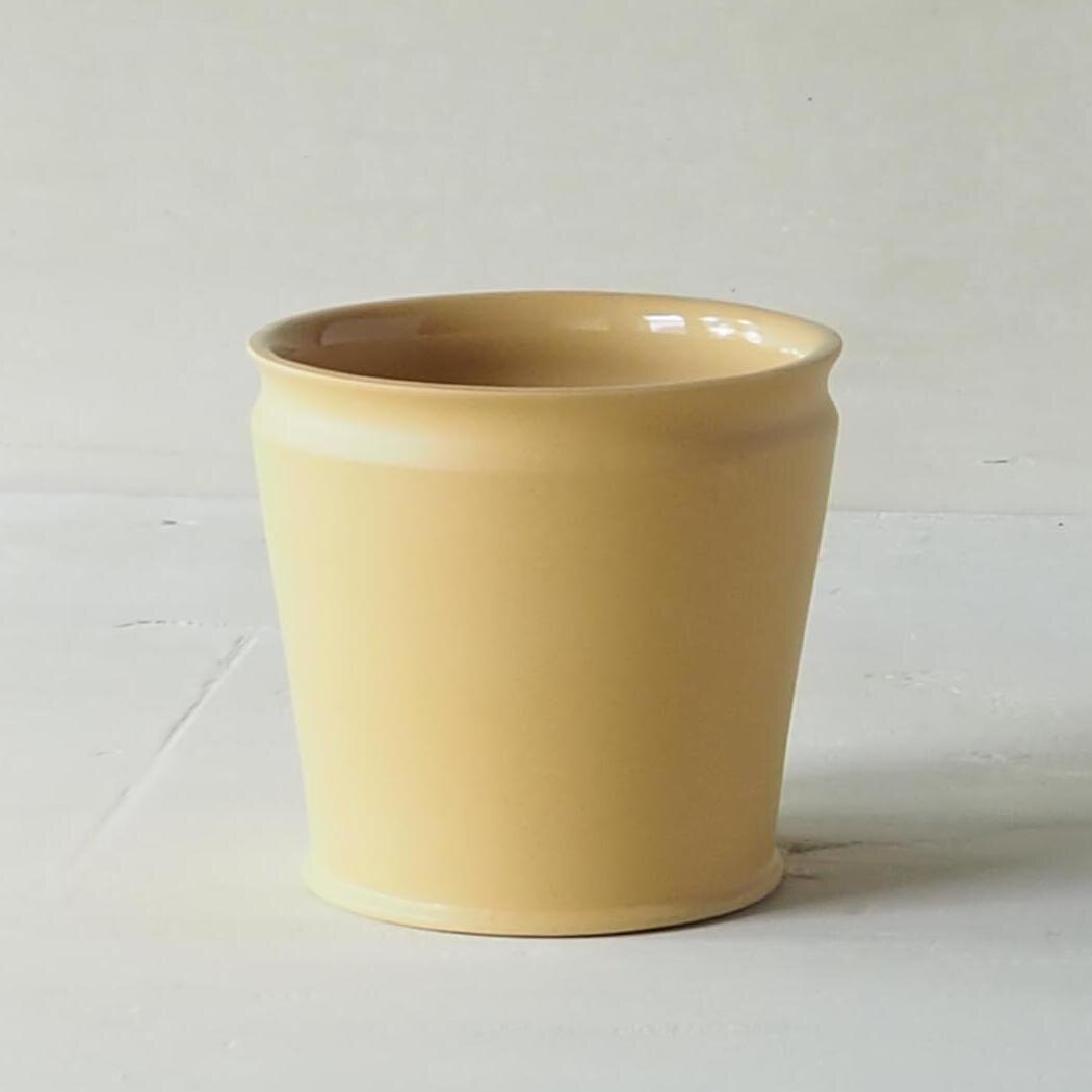 LGYELLOWCUP1.jpg