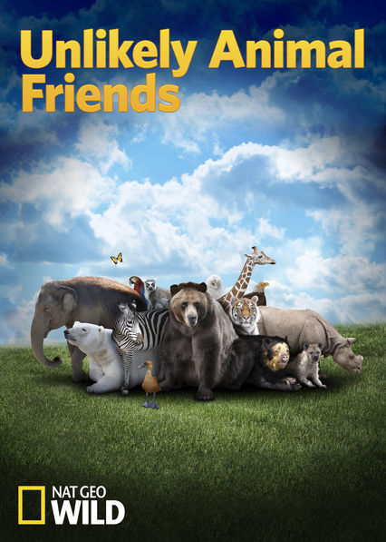 Unlikely Animal Friends: Music Credits — Ryan Brady