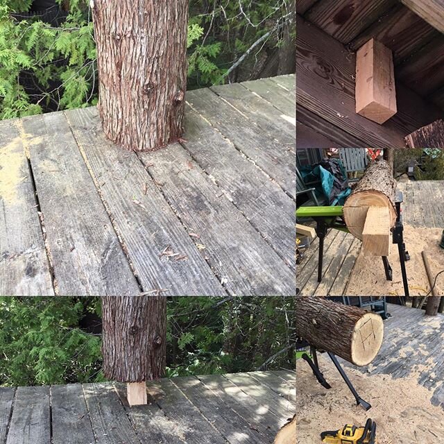 It takes a bit of work to turn a tree into railings!
#highpeaks #lakeplacid #logwork #adirondacklife