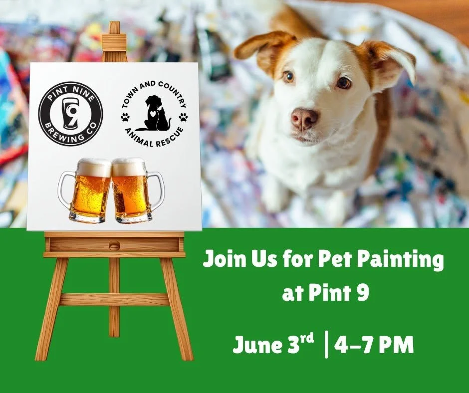 Pet Painting