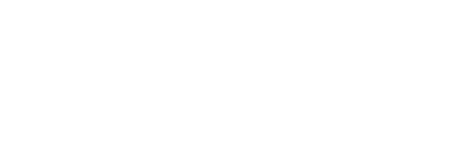  Pint Nine Brewing Company         