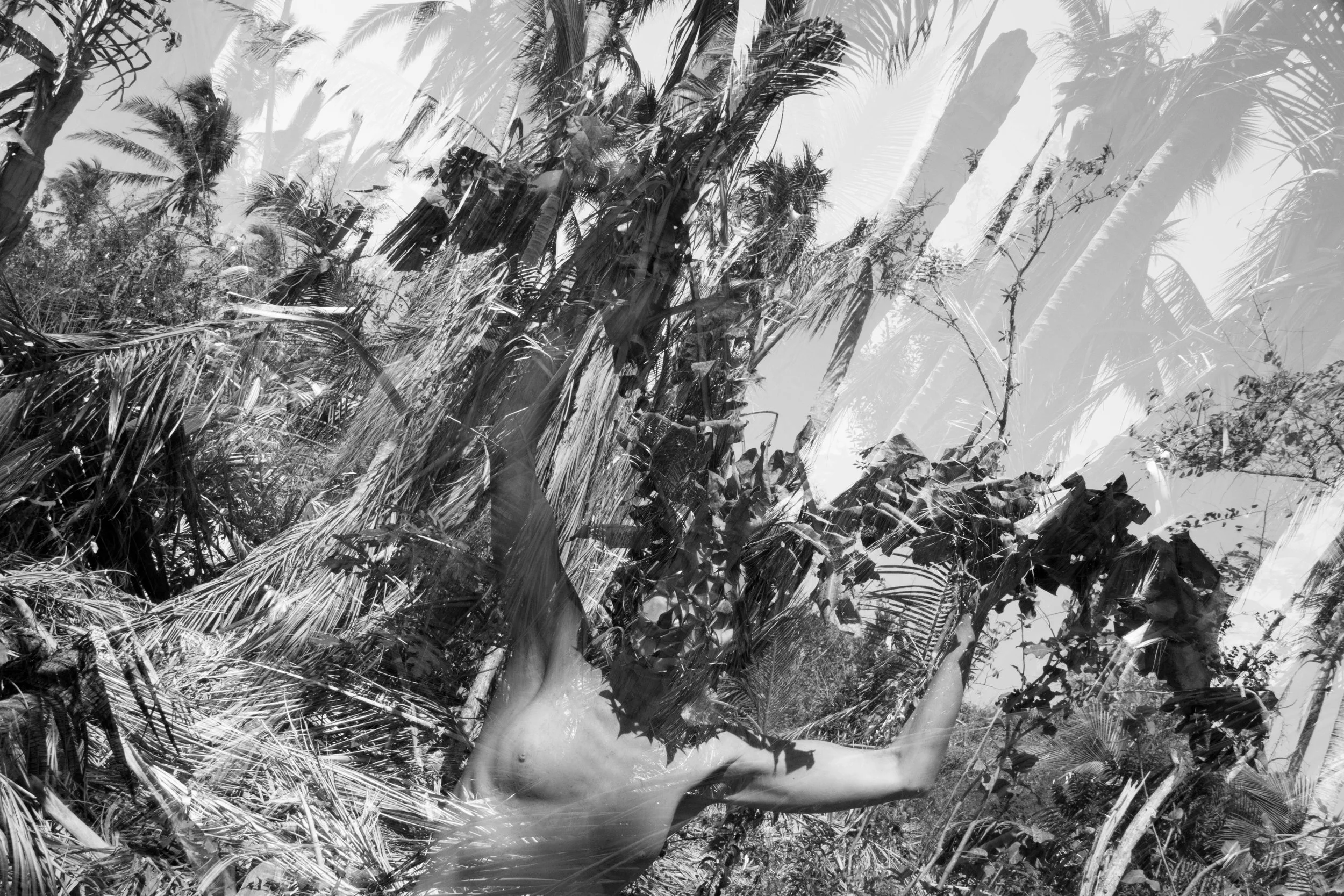 JUNGLE QUEEN  19' X 25.jpg