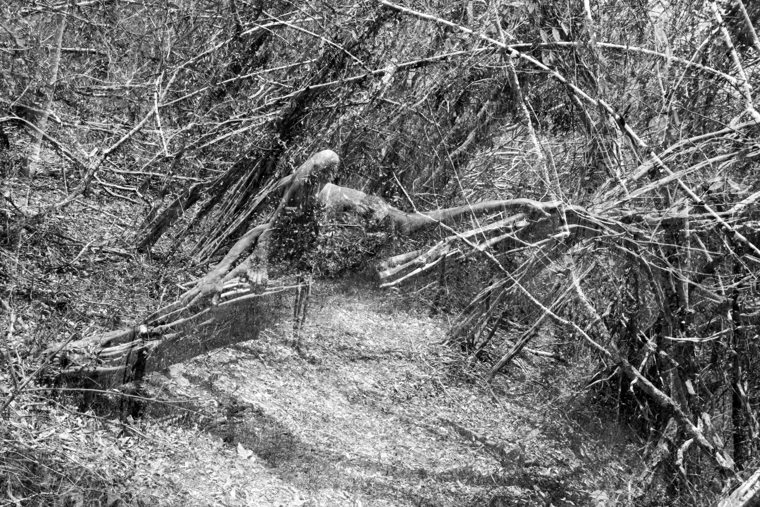 PATRICIA  19' X 25'.jpg