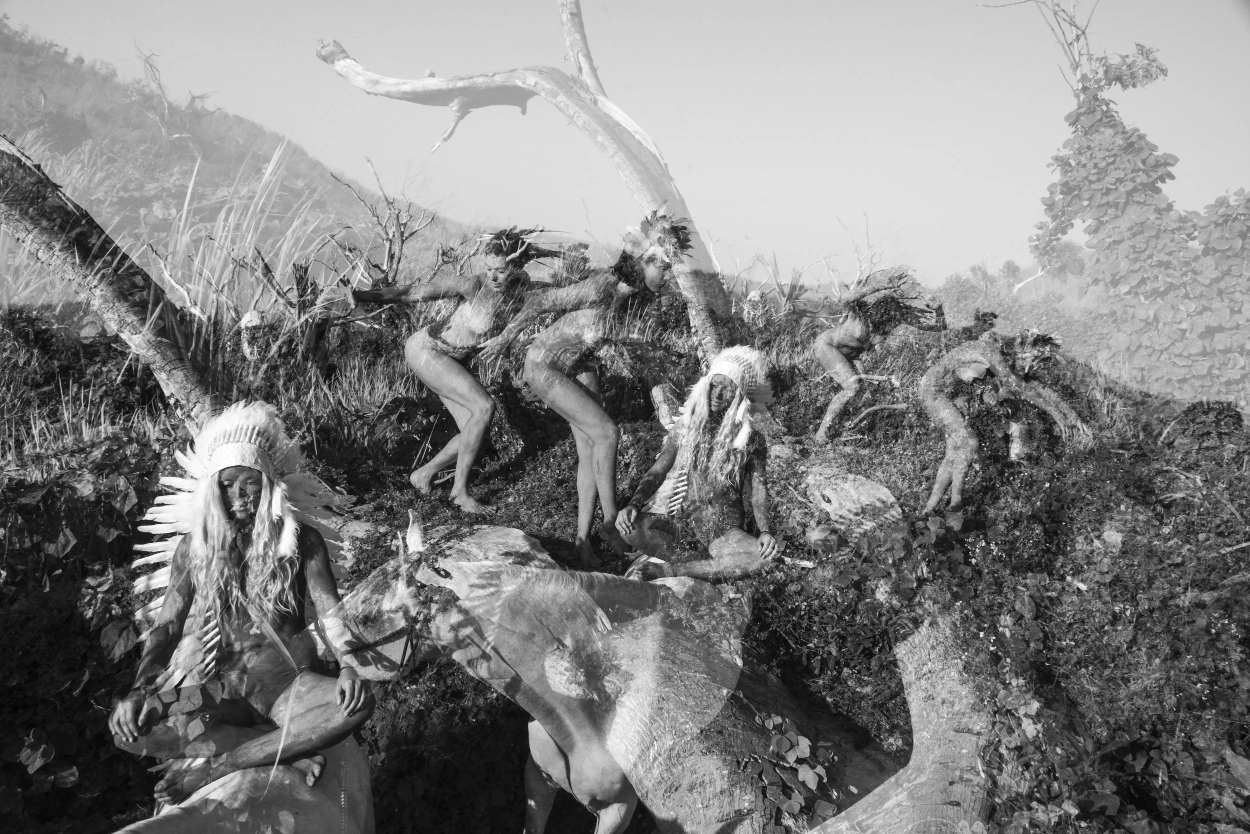 THE TRIBE.jpeg