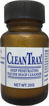 Web Clean Trax - Transparent.png