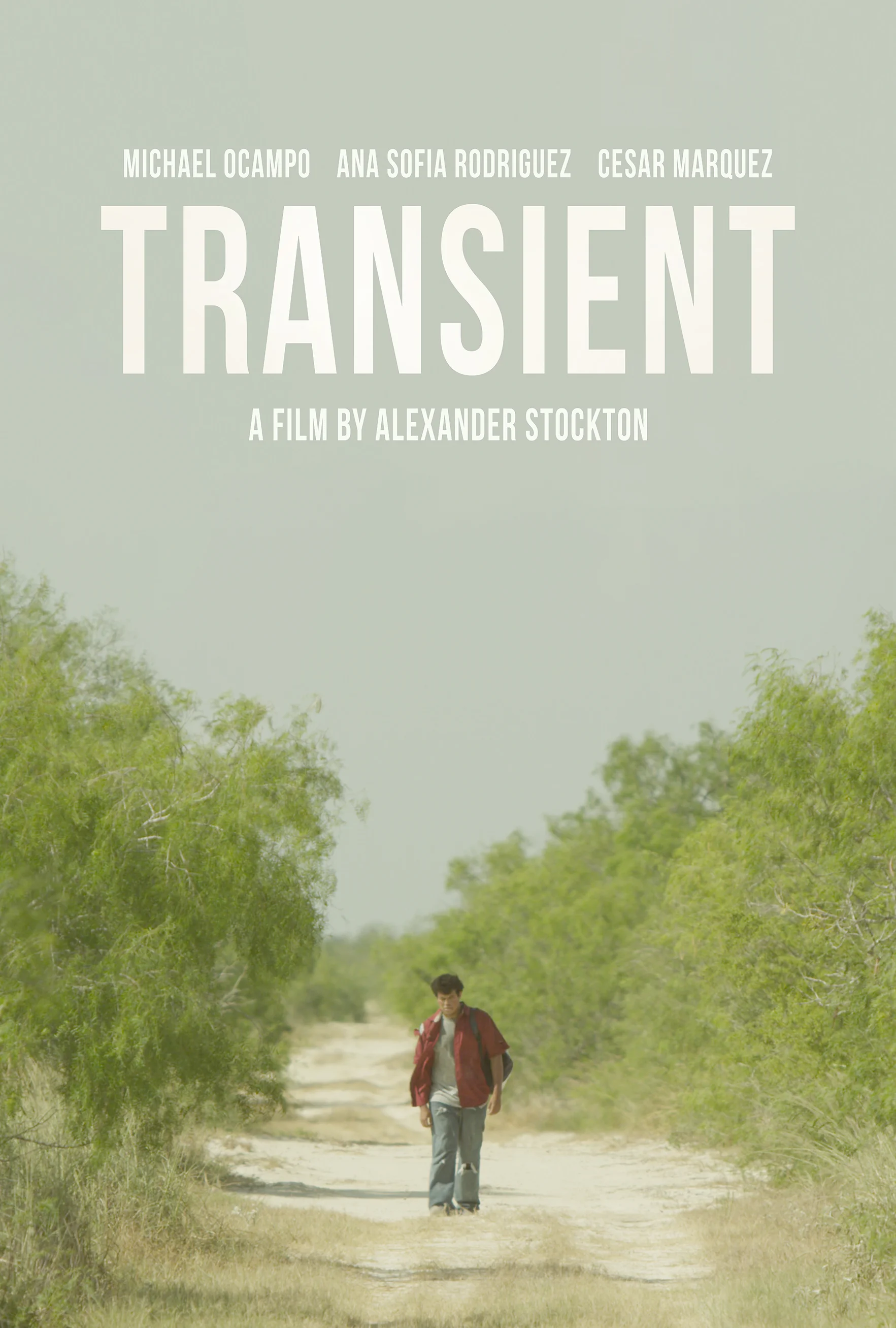 Transient_Poster_Small.jpg