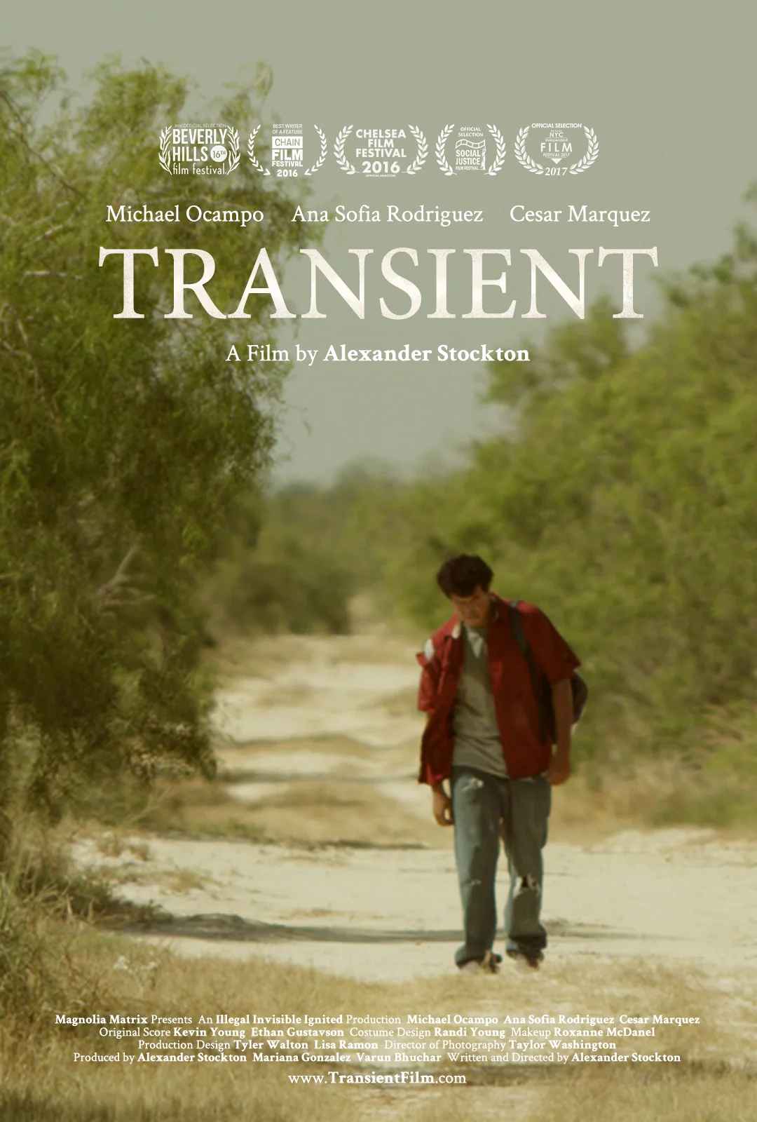 Transient_Poster_Small.jpg