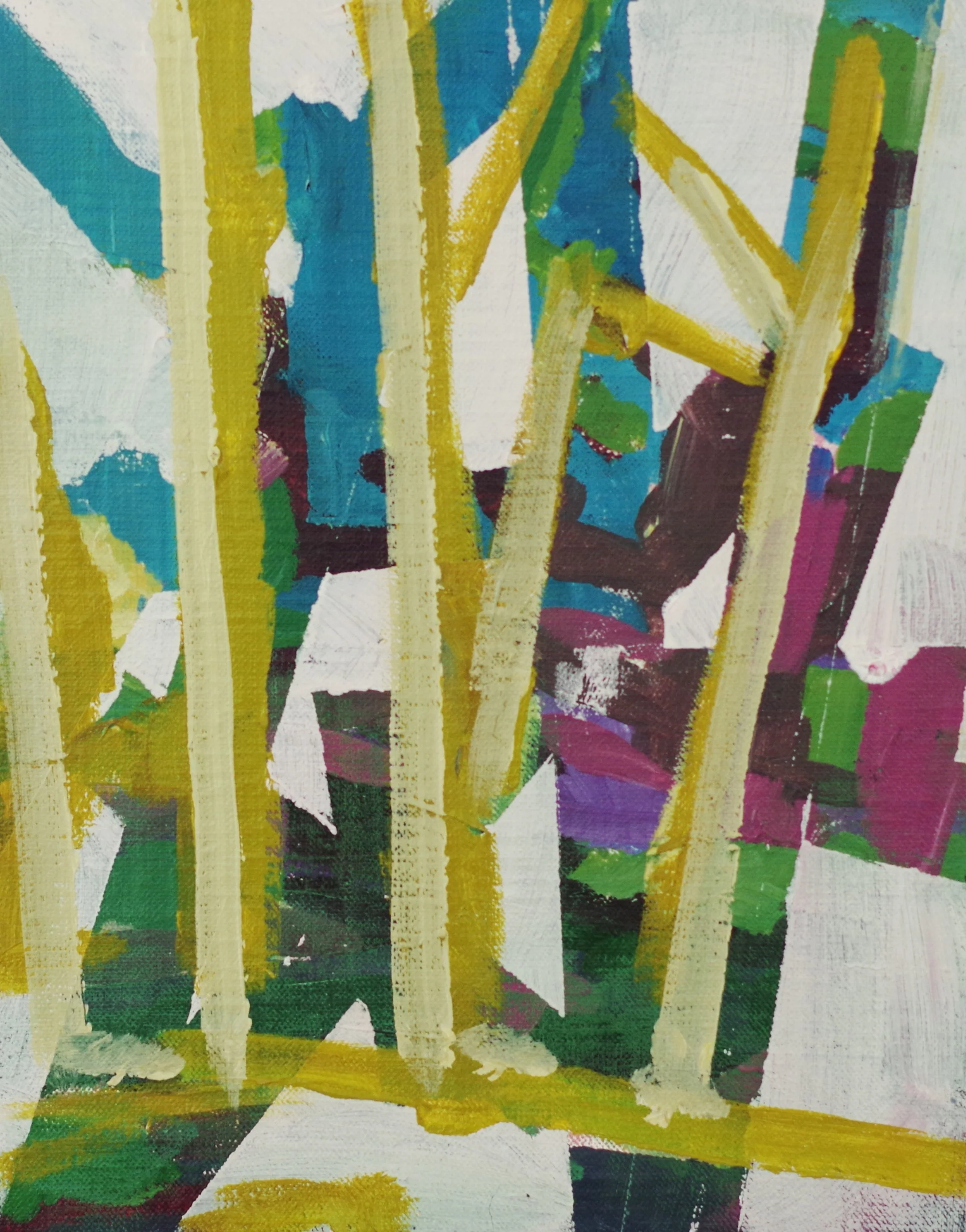 "Light and Trees"