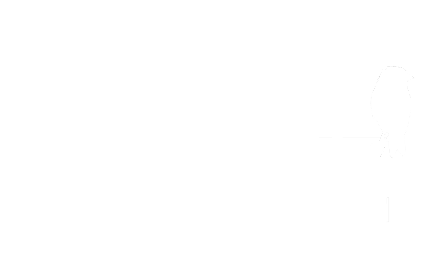 Jorge J-Pérez
