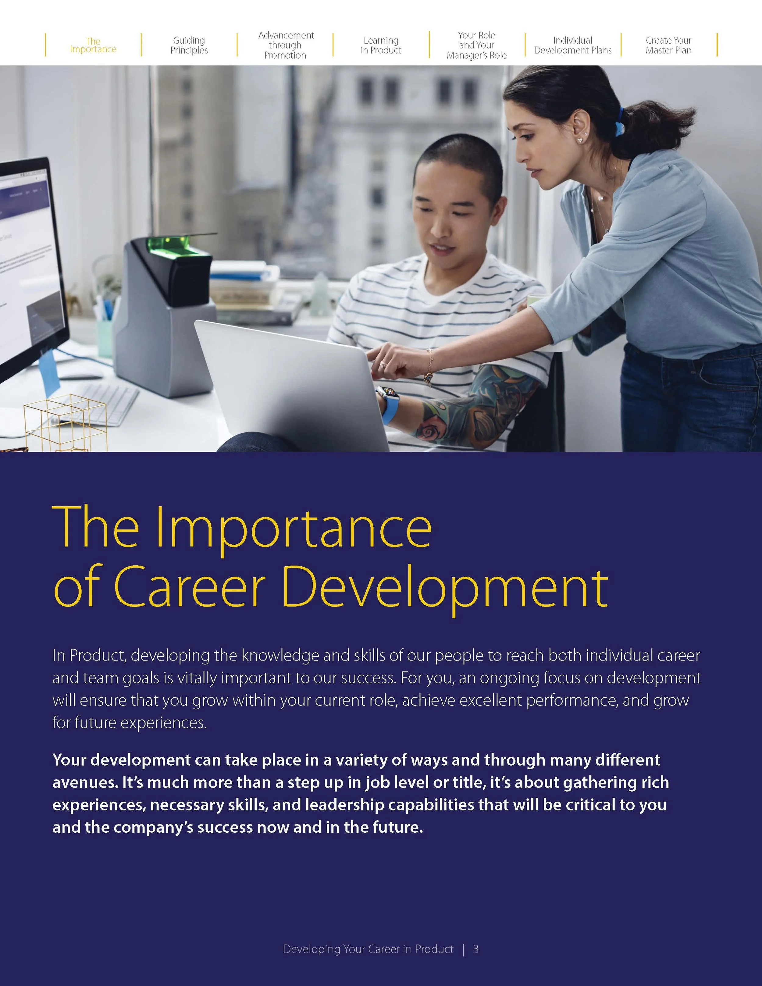 Visa_CareerDevelopmentGuide_060419_V4_Page_3.jpg