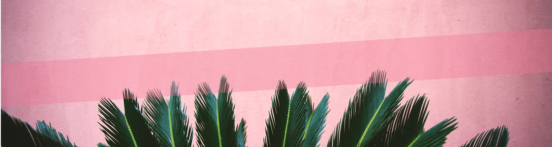 PinkGraffitiWebLayout2-09.jpg