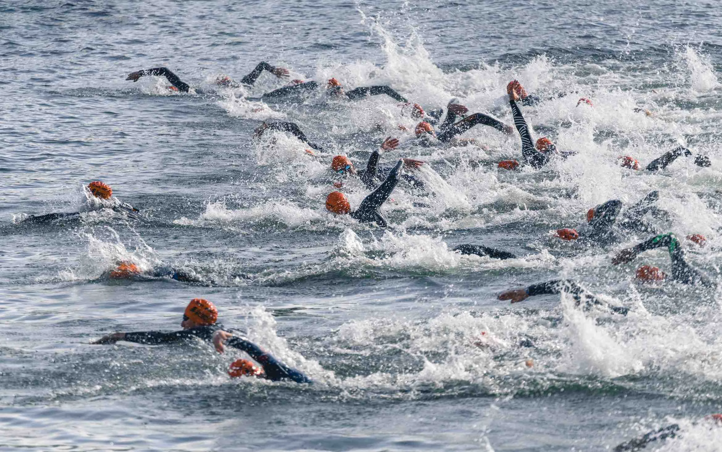 rotterdam tri 5.jpg