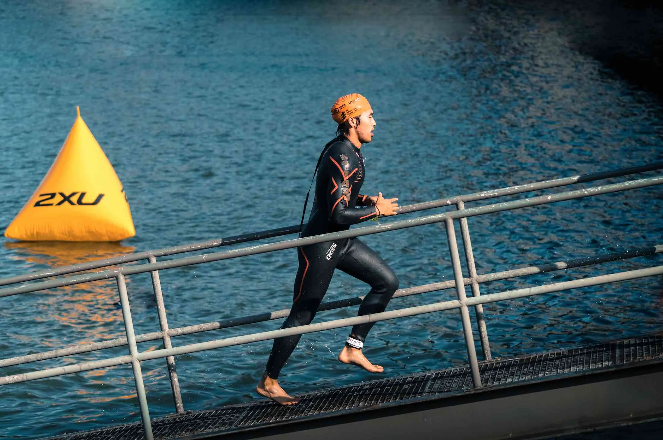 rotterdam tri 4.jpg