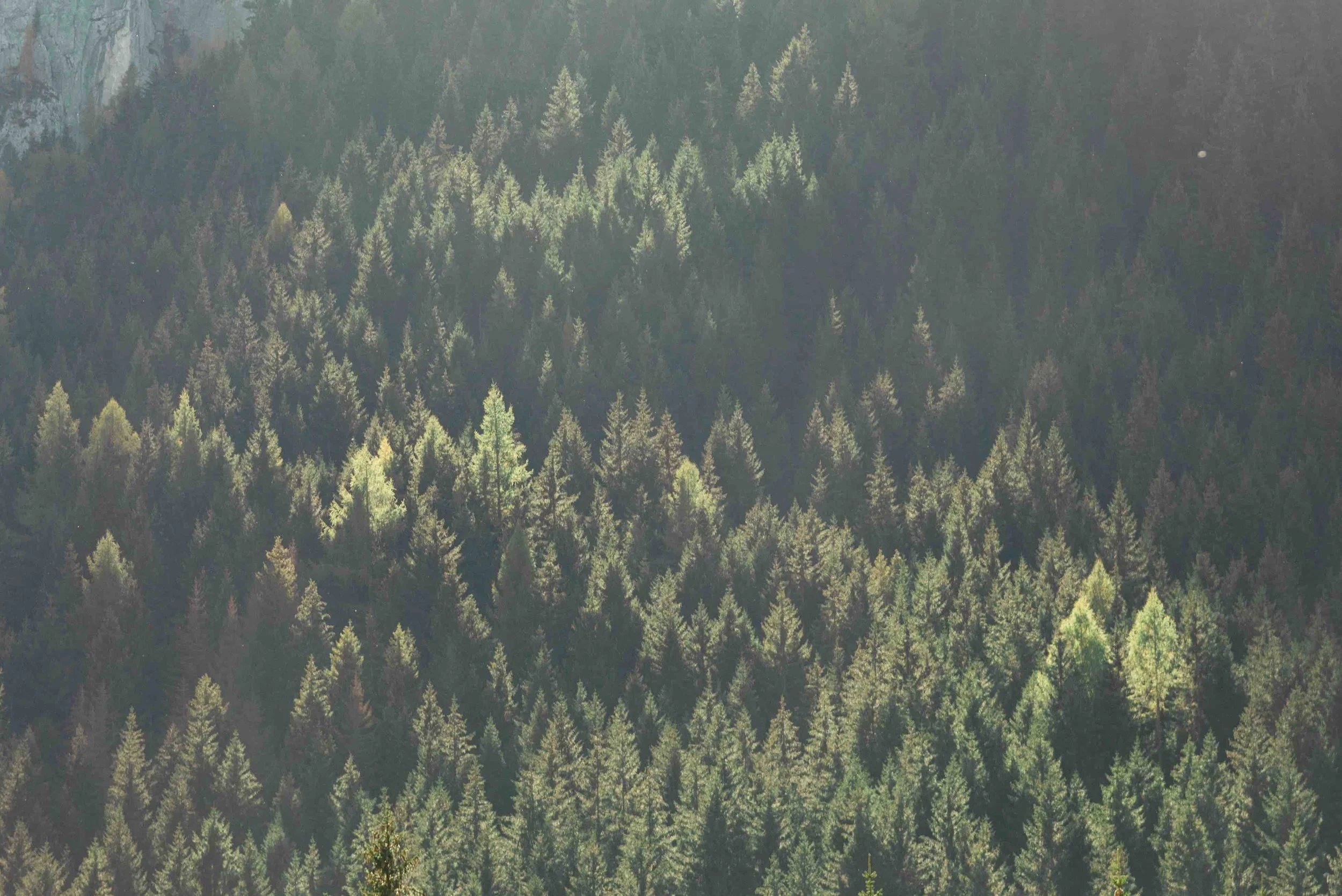 DSC_7740.jpg