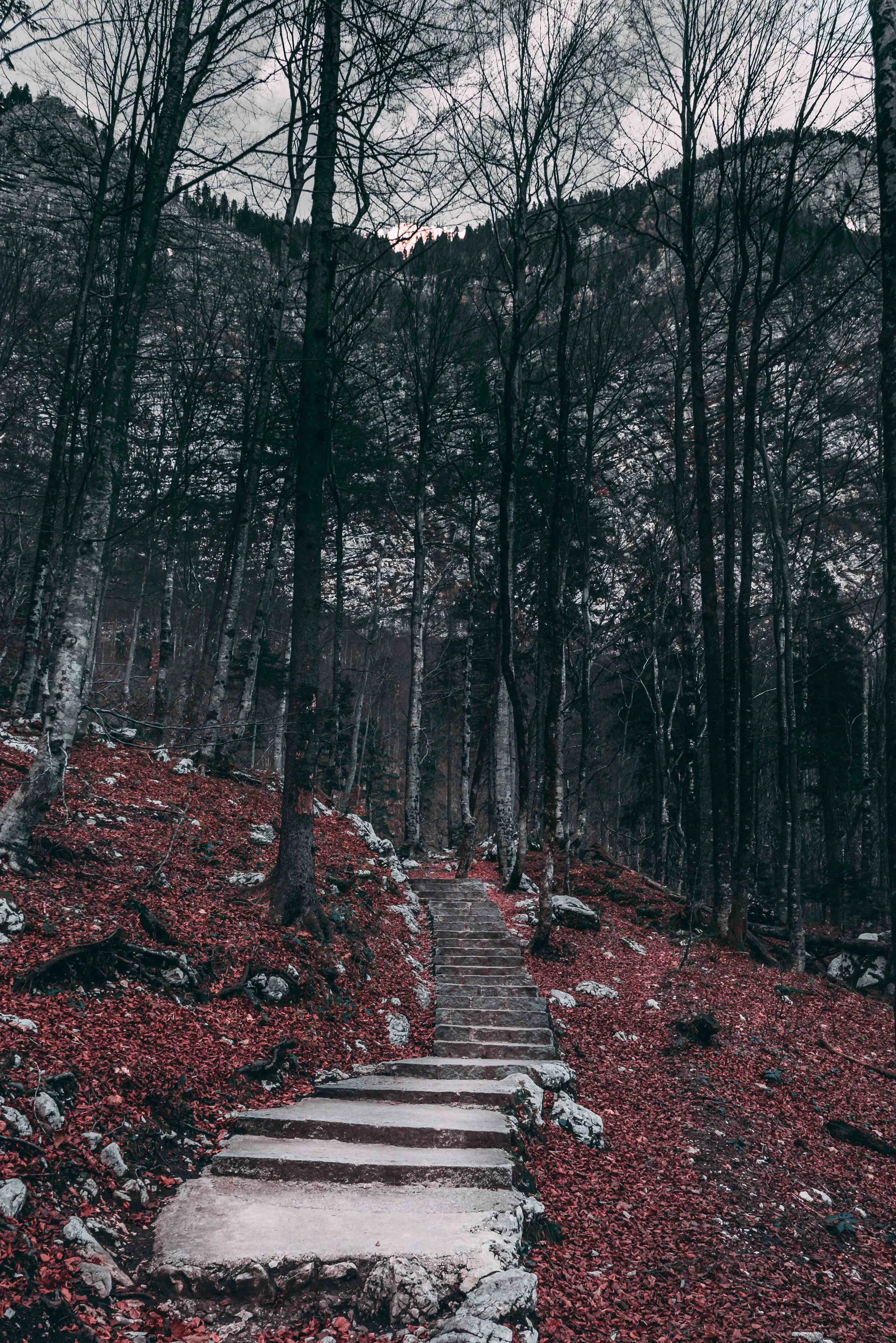 DSC_8705.jpeg