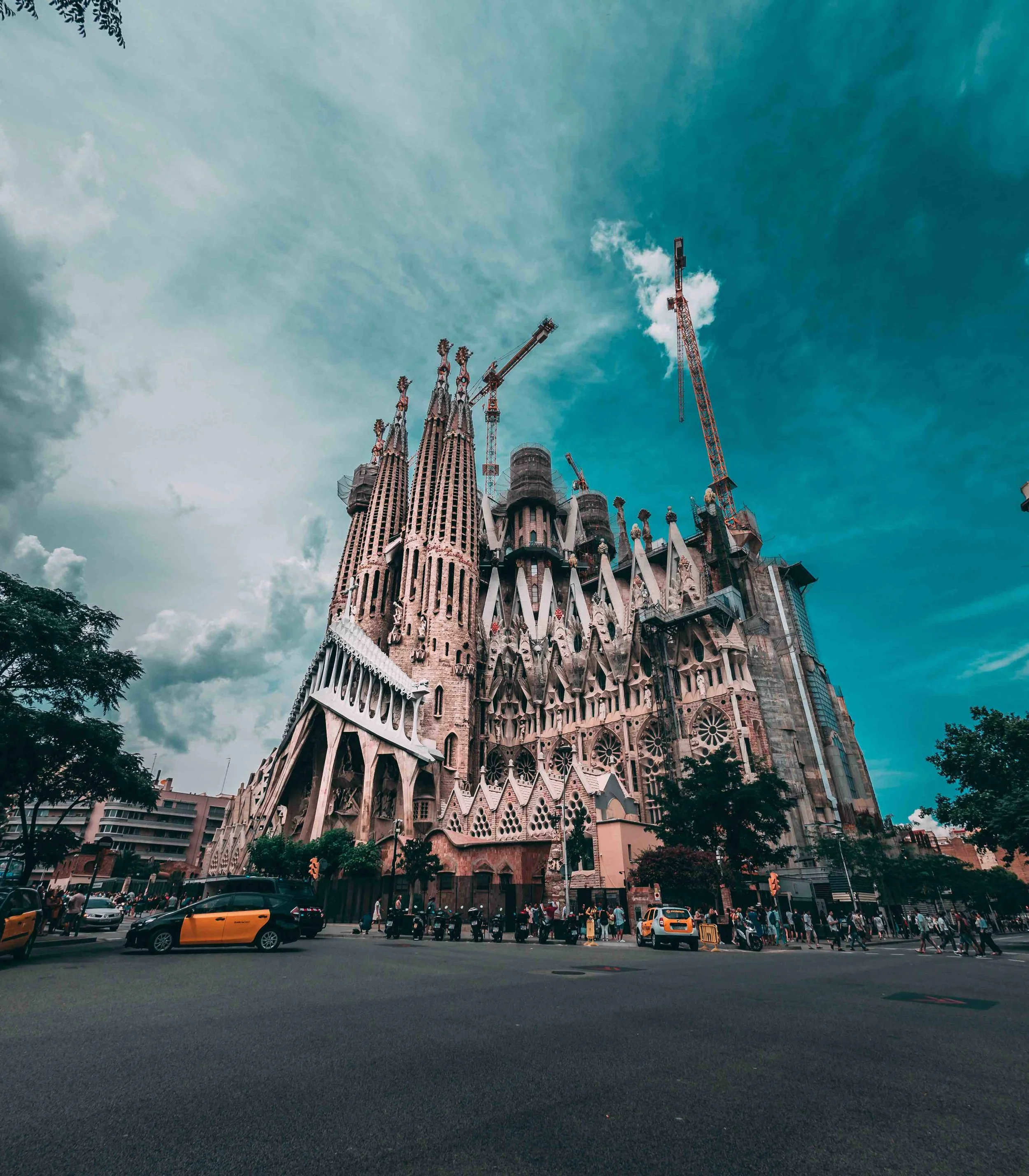 DSC_6083.jpeg