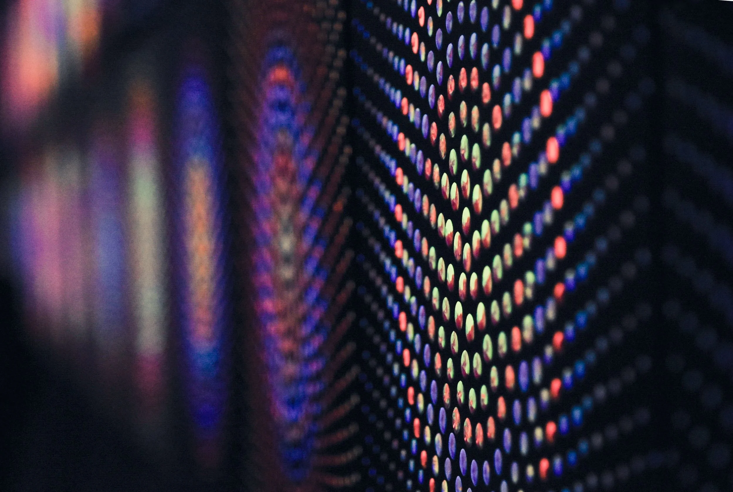 DSC_0402.jpeg