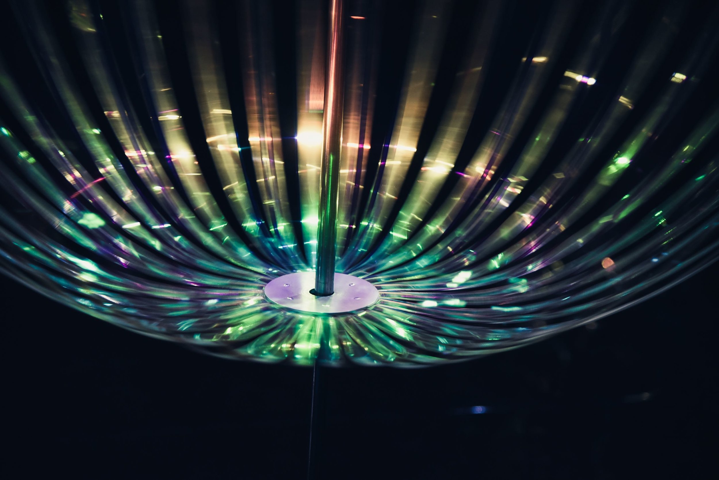 DSC_0432.jpeg