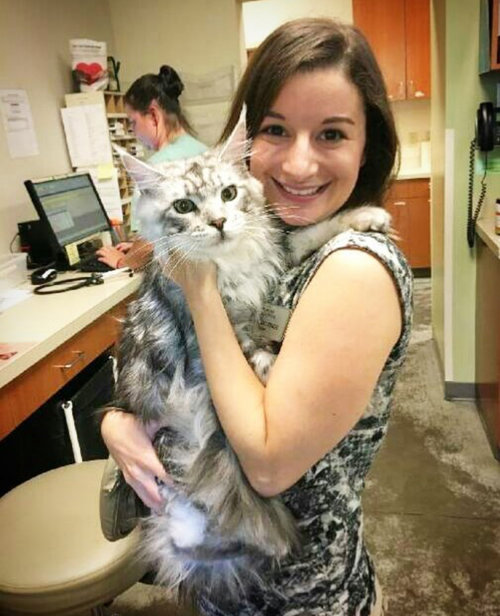 Mis gatos se orinan en TODAS partes - Dr. Elise y uno de nuestros felices amigos felinos
