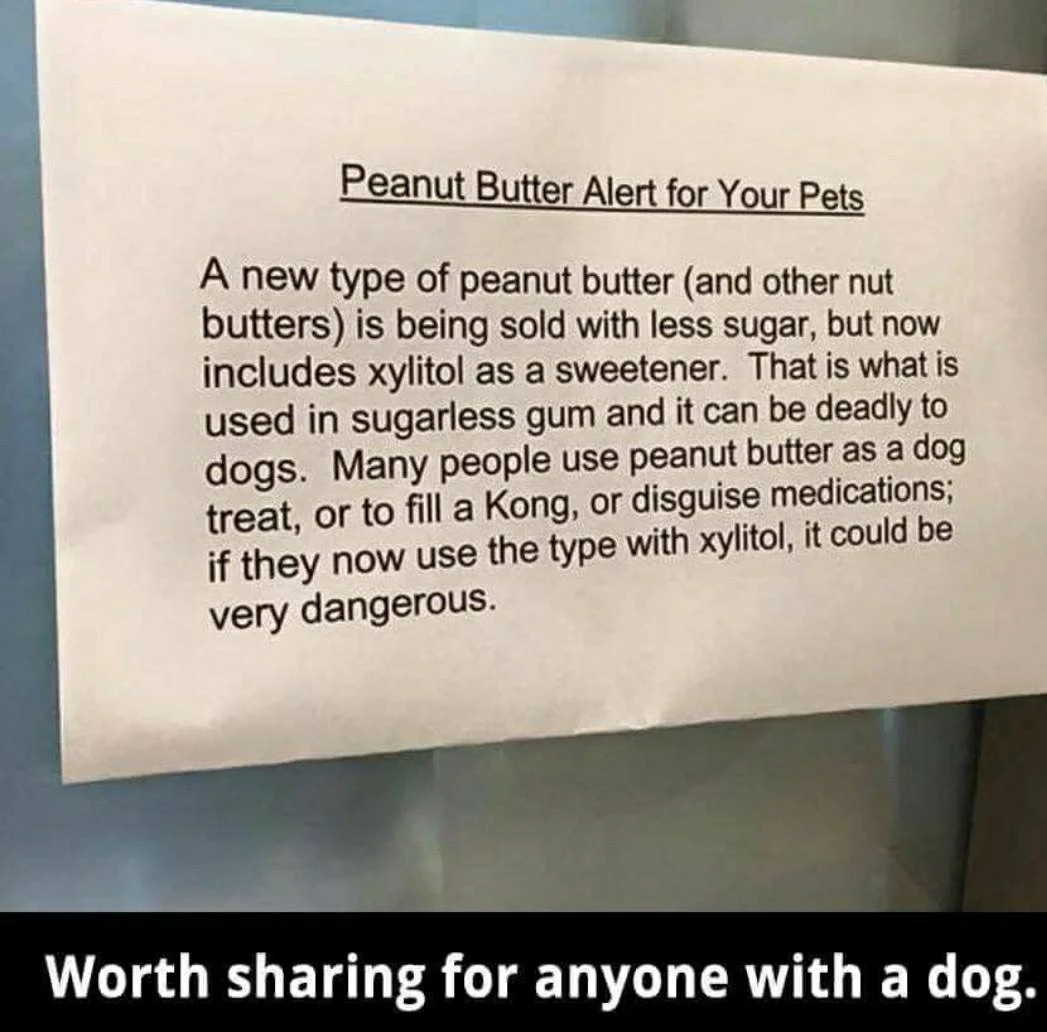 Peanut Butter.jpeg
