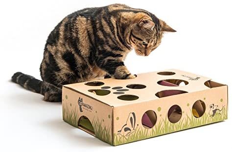 Puzzle Feeders for Cats  The Cat's Meow Veterinary Hospital