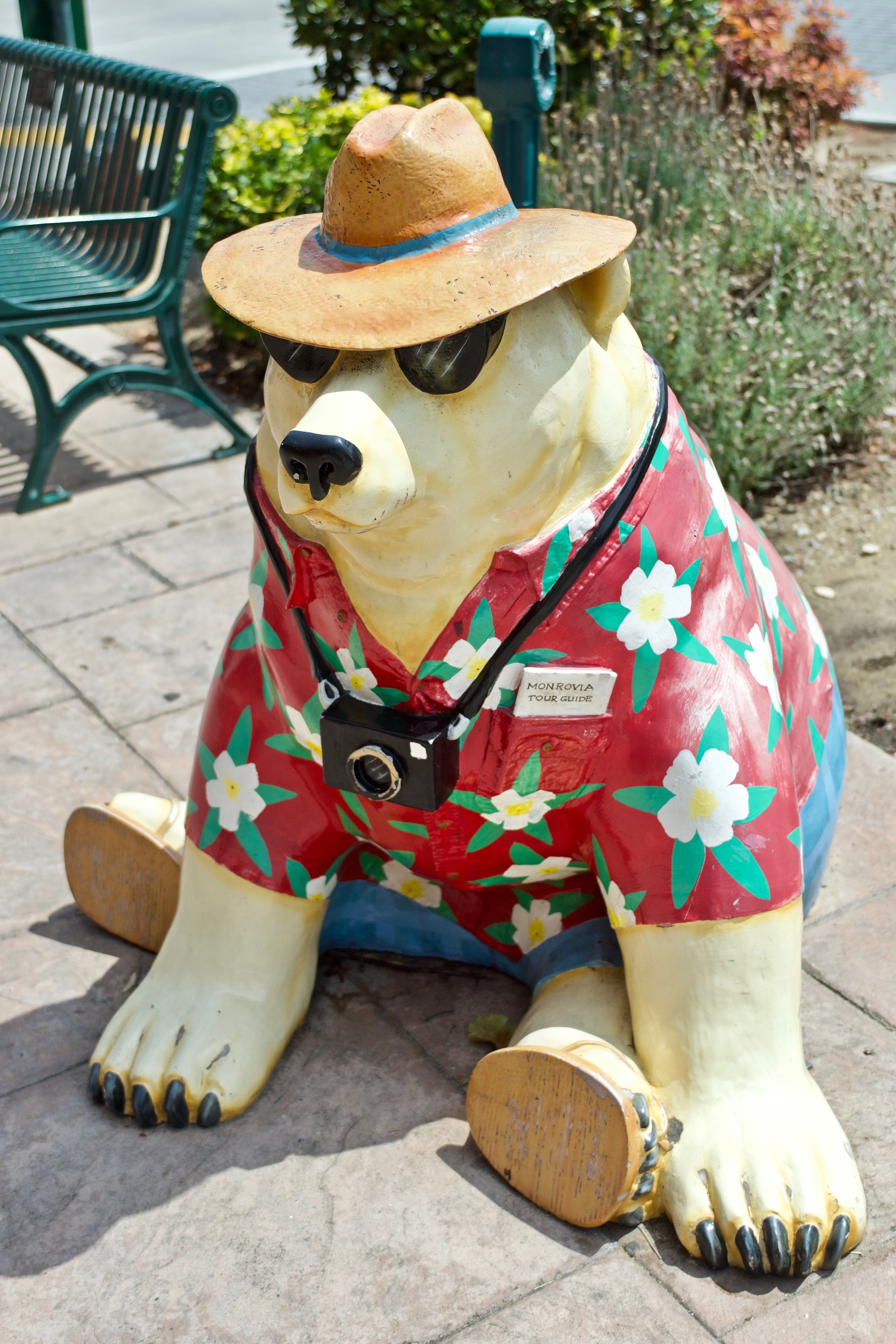 Polar Bear - Apparently polar bears winter in Monrovia, and he appears to be a photog.