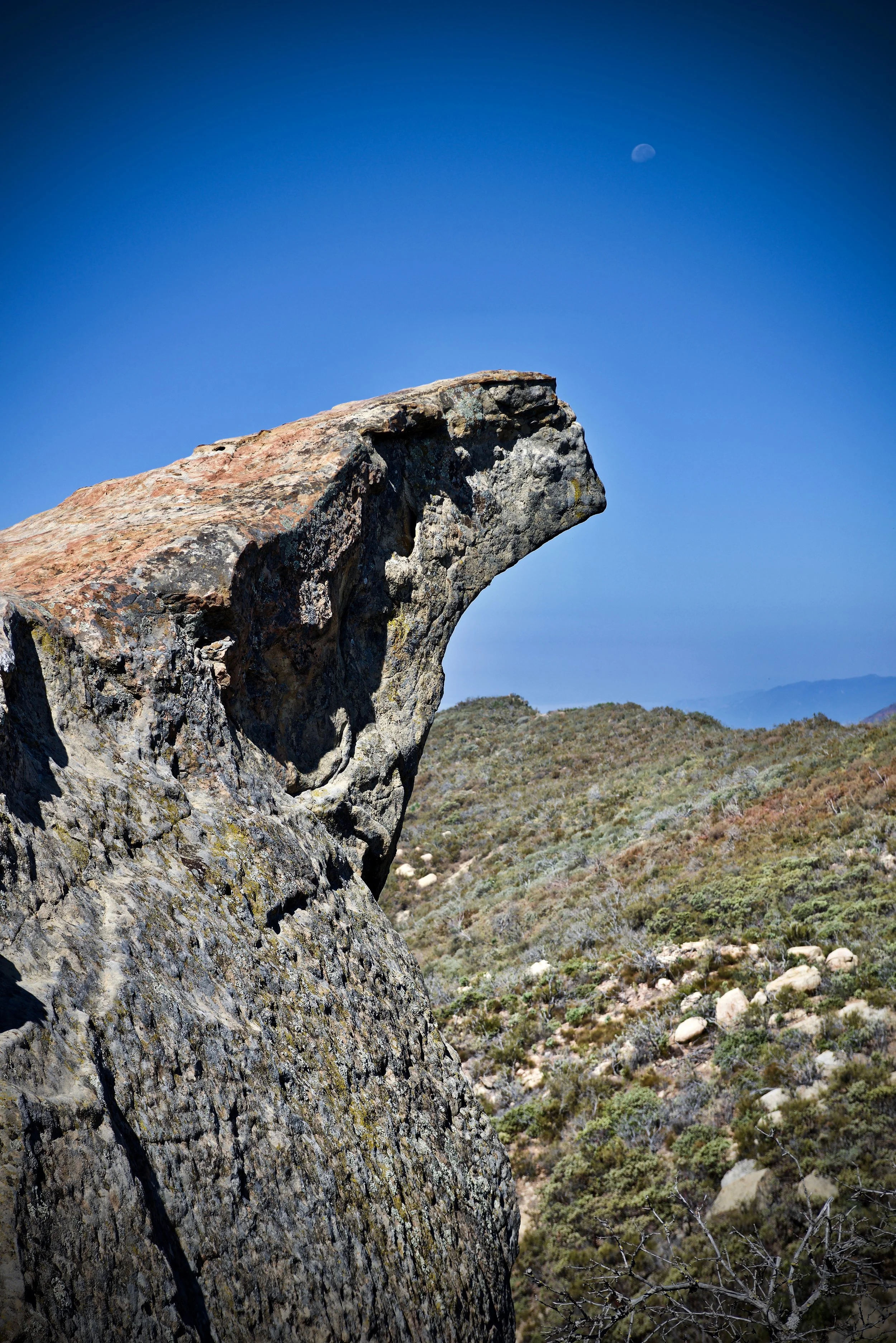 Lizard's Mouth Moonset