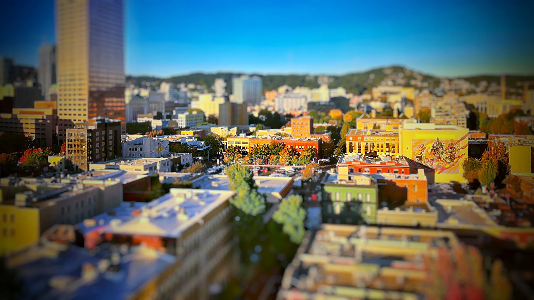 IMG_0385.jpg