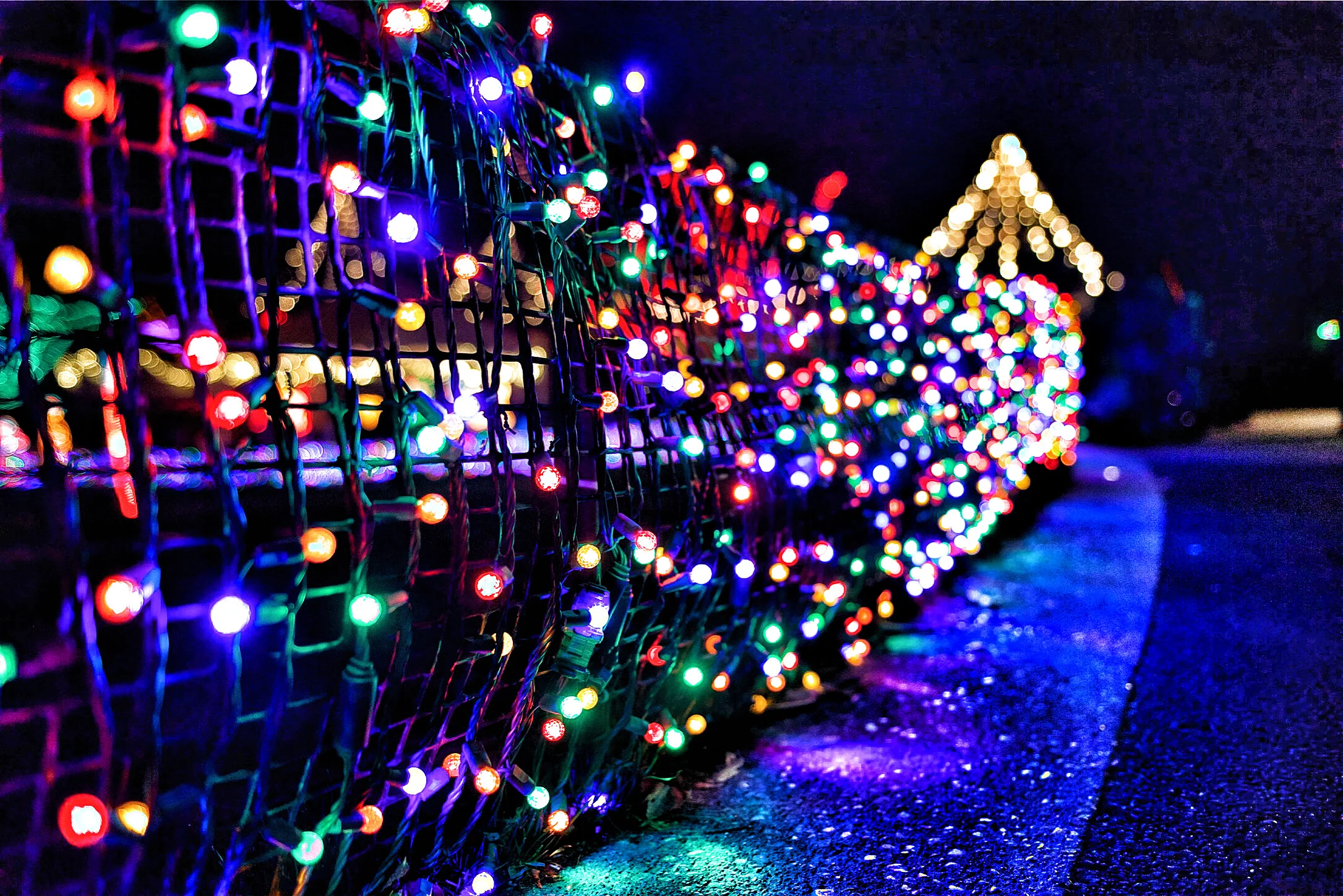 Zoo Lights