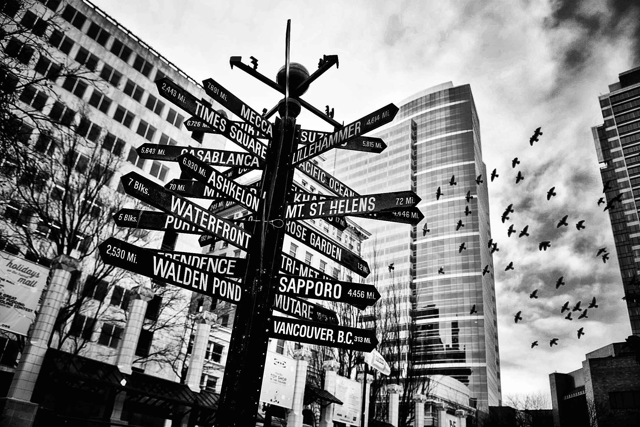 Where to go next B/W