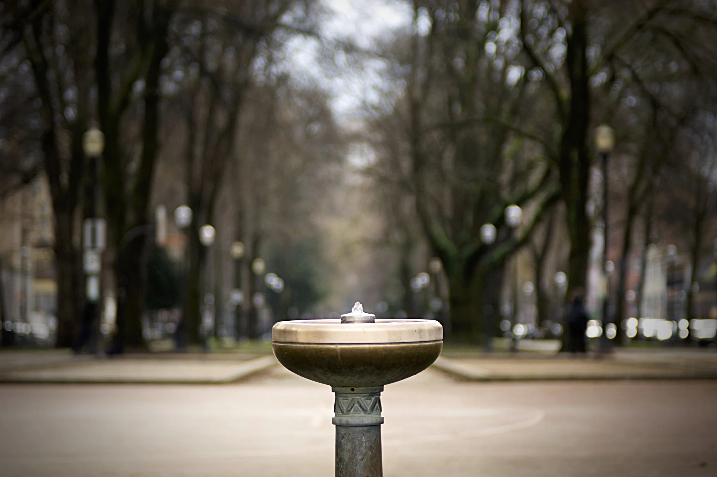 Bubbler in the Park