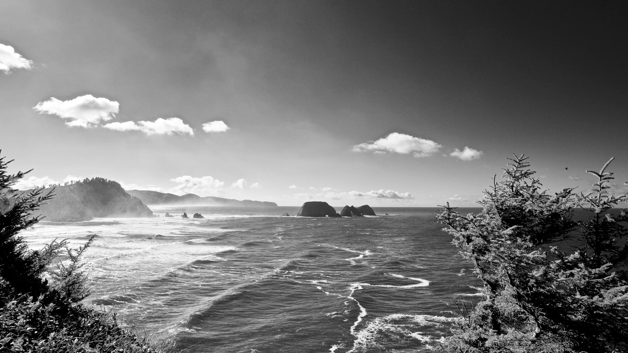 View South from Cape Meares