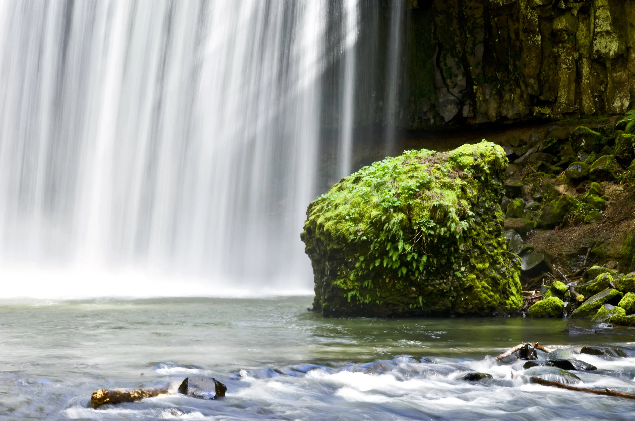 Light Streaks Through the Curtain of Life