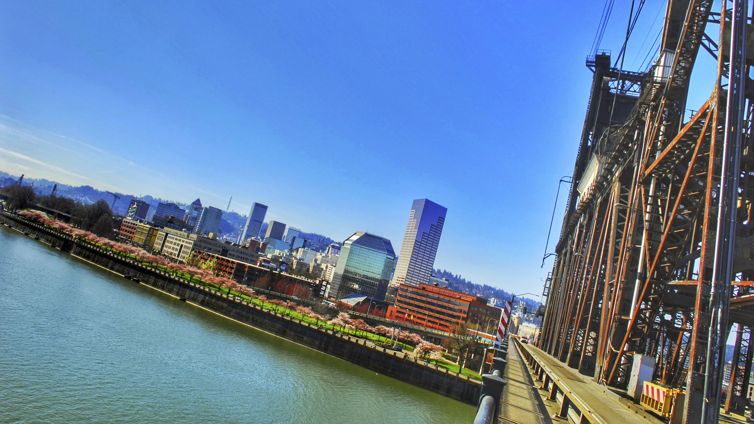 Dutch Tilted Cherry Blossoms