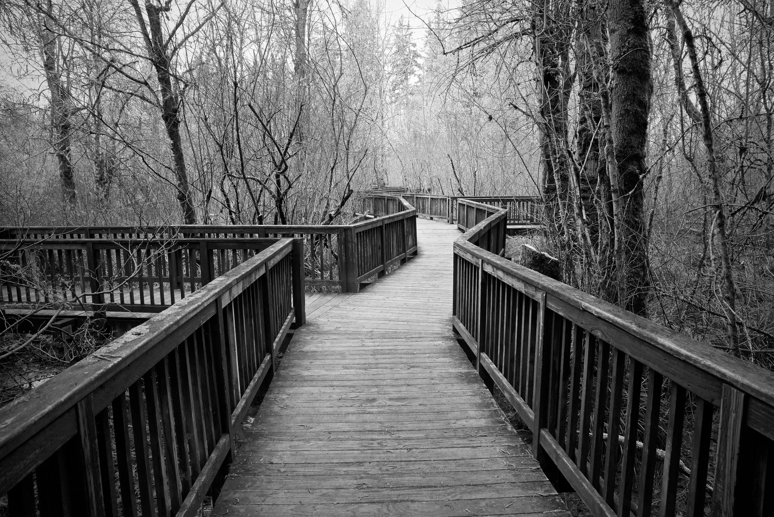 Winter Boardwalk